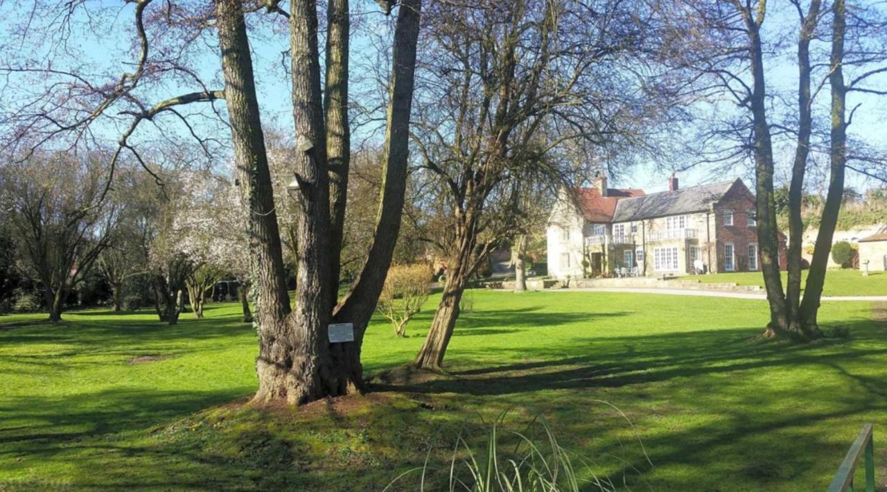 17Th-Century One Bed Studio With Parking & Garden! Elkesley Eksteriør billede